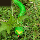 Cobra de Brinquedo RC Realista Infantil