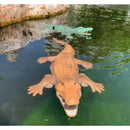 Jacaré Crocodilo Controle Remoto - Bateria Recarregável